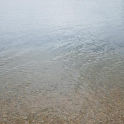 ボラニング⁇ボニング⁇シーバスだよ‼